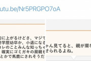 【悲報】ゆたんぽを誹謗中傷したなんJ民に33万円の損害賠償請求