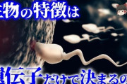 【遺伝子】精子には男性が幼少期に経験したストレスの痕跡が残っているという研究結果