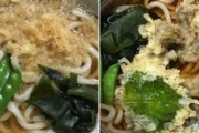 【速報】関西のうどん、白すぎる