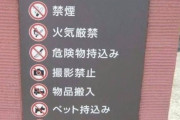 【悲報】最近の公園、何もかもが禁止されてしまうｗｗｗｗｗｗｗｗｗｗｗｗ