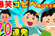 【2ch面白いスレ】大爆笑！眠くなるまでコピペ70連発！イッチを笑わせろ 作業用 聞き流し BGMにネタ被り無し【ゆっくり解説】