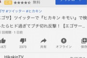 【悲.報】大物YouTuberヒカキン、ブ チ 切れ（※画像あり）