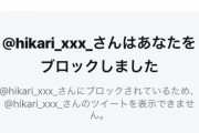 【朗報】Twitterの新機能フリート、神機能の模様ｗｗｗｗｗｗ