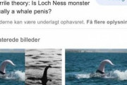 【朗報】ネッシーの正体が判明wwww