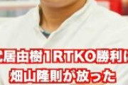 【悲報】ボクシング畑山隆則氏、現役チャンピオンに苦言「雑魚狩りばかりやってる」