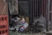 【動画】歌舞伎町のネズミがやばいと話題にwww
