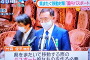 日本さん、江戸時代に逆戻りｗｗｗｗｗｗｗｗｗ