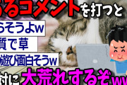 【2ch面白いスレ】YouTubeのペット動画にあるコメントをすると絶対に大荒れして楽しいぞwww【ゆっくり解説 2ちゃんねる まとめ 面白いスレ 5ch 猫】