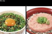 【画像】有識者「本物のチー牛はチー牛を食べません。本物が食べるのはこちら」