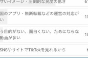【朗報】YouTube民「TikTok民は本当に民度が低い、ウザい馬鹿の集まり」