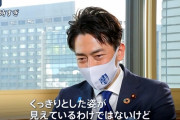 【朗報】小泉進次郎氏、大谷のホームラン数を予言していたwwwww