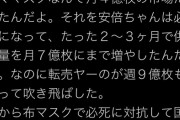 マスク不足は桜で遊んでて対案出さない野党のせい ← 13万いいねｗｗｗｗｗ
