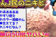 【2ch閲覧注意スレ】なんJ民ってニキビ悩んでる？←猛者が降臨するww【ゆっくり解説】