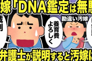【2ch修羅場スレ】汚嫁「DNA鑑定は無駄！アメリカの判例があります！養育費よろしく」俺弁護士に相談して対応すると翌日汚嫁から連絡がありwww