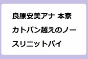 良原安美アナ 本家カトパン越えのノースリニットパイ！クラシックバレエで培ったミス立教の長身メリハリボディ