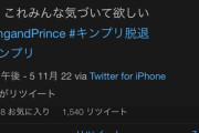 【悲報】キンプリファン、ショックのあまり次々と陰謀論を唱えだしてしまう
