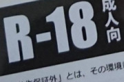 「お客様!?攻略対象はあちらですよっ!!」とかいう同人ｴﾛｹﾞ買ったった