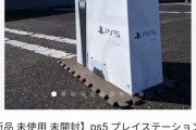 【悲報】PS5の転売価格、ヤバすぎるwwwwwww