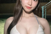 【画像】こういうカワイイドスケベボディの水着女子見かけたことある？