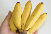 【画像】丸ごとバナナの中身wwwwwwwwwwwwwwwwwwwwww