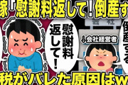 【2ch修羅場スレ】汚嫁「慰謝料返して！私の会社が脱税で倒産する！！」俺「計算通りwww」スレ民のアドバイスをヒントにした結果w