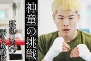 那須川天心って実はボクシングの才能がないのでは？