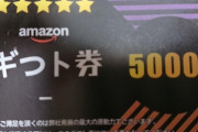【悲報】ワイくん、Amazonでイヤホン買ったら凄い物が付いてくる