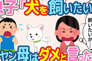 【2ch ほのぼの】息子がペットショップで駄々をこねた→元ヤンで気が強い嫁「飼うとか無しだから」と一蹴したが、その後、お店のサイトを見続けて…