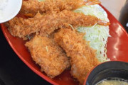 【画像】この海老フライ&ヒレカツ定食いくらだと思う？ｗｗｗｗ