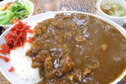 【画像】この大盛カレー（980円）の欠点を答えなさい