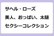 サヘル・ローズ　美人、おっぱい、太腿！セクシーコレクション