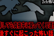 【2ch怖いスレ】土葬しても真夜中に戻ってくる遺体。戦後すぐに起こった怖い話【ゆっくり解説】