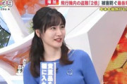 【画像】フジの岸本理沙アナが可愛いくていいおっぱいしている