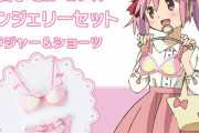 【画像】まどか☆マギカのエロエロ過ぎる下着コレクション