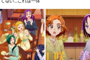 【悲報】オトナプリキュア、百合カップルの片割れが男と結婚したことが判明する