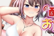ｴﾛｹﾞ全盛期にワゴンでクソゲー買い漁るのが趣味だった
