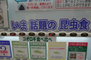【衝撃画像】今話題の自販機がガチでヤバすぎる・・・