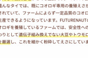 【朗報】コオロギ食企業「厳選した上質な?や大豆、果物などを食べさせているので安心安全で美味C！！」