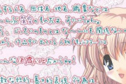 エロゲーに出てくるロリって絶対に自分の年齢を言わないよな