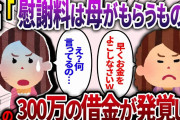 姑「慰謝料は母親がもらうもの！」とんでも主張を続ける姑には300万の借金があることが発覚し…【2ch スカッと】
