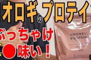 「次世代のプロテイン」サンデン、コオロギパウダー入りホットチョコ販売の実証実験