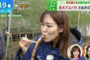 【gifあり】杉澤眞優アナの巨大アスパラを咥えてる顔がエロいと話題