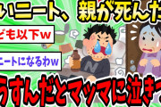 【2ch面白いスレ】ワイニート32歳、親が死んだらどうしたら良いんだとマッマに泣きつく【ゆっくり解説】
