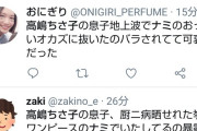 高嶋ちさ子「思春期の息子がワンピースのナミの胸を検索してる」