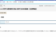 【悲報】外務省「"日本人差別"が酷すぎる国があるから流石に晒すわ…」