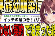 【2ch面白スレ】ネ果族の幼馴染に、襲わない契約で家に泊まった結果wwww【ゆっくり解説】