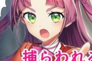 【画像】プリキュアの小林の誕生日記念グッズ買うかガチで悩む