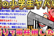 【2ch面白いスレ】小学生のころ最強すぎて電柱を倒してしまった話【ゆっくり解説】