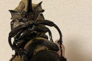 【画像】ワイの手の上でカブトムシが交尾しだしたんやが