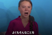 グレタ・トゥーンベリちゃん、世界中から袋叩きにされて泣く